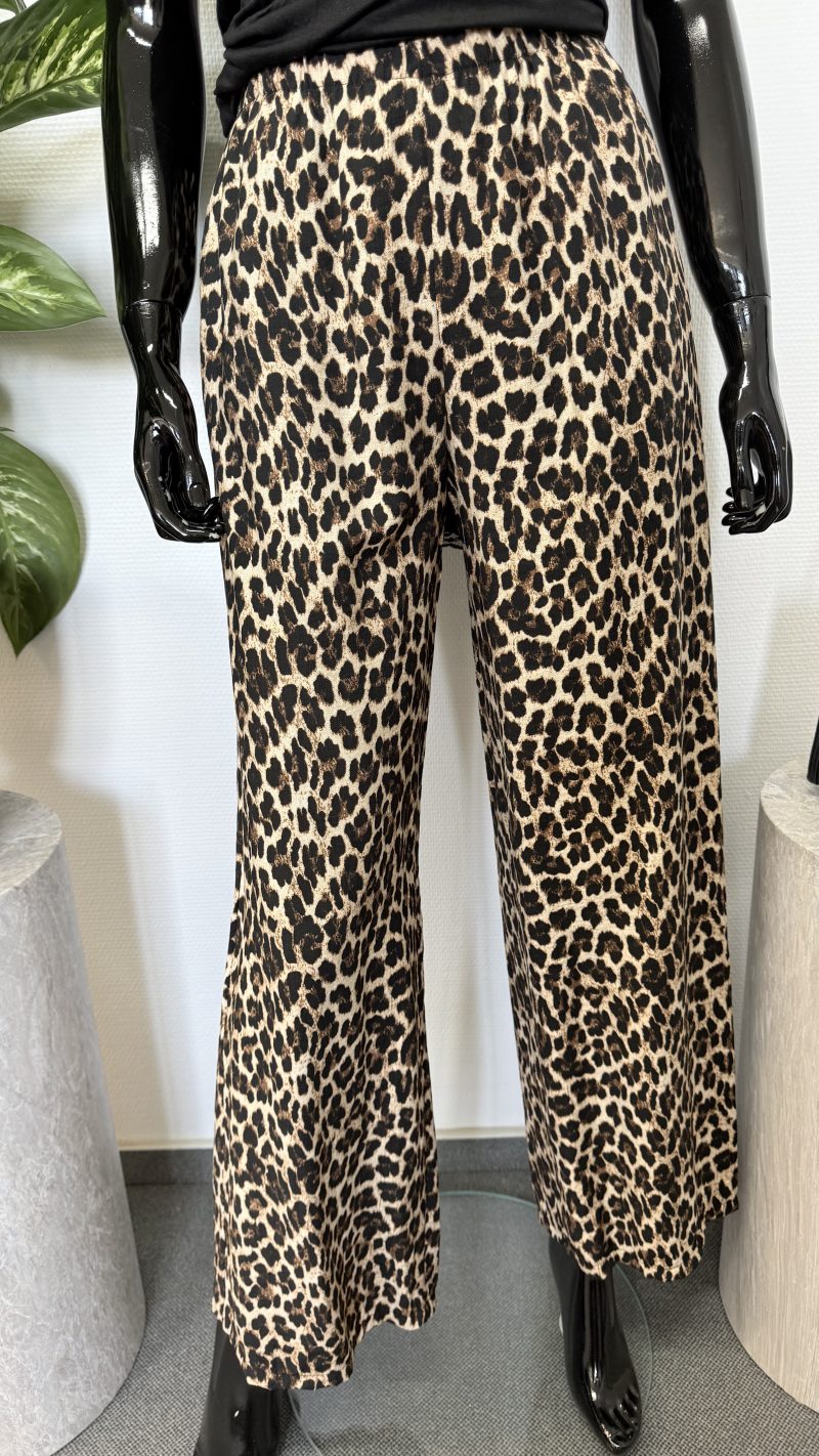 Hose Leo